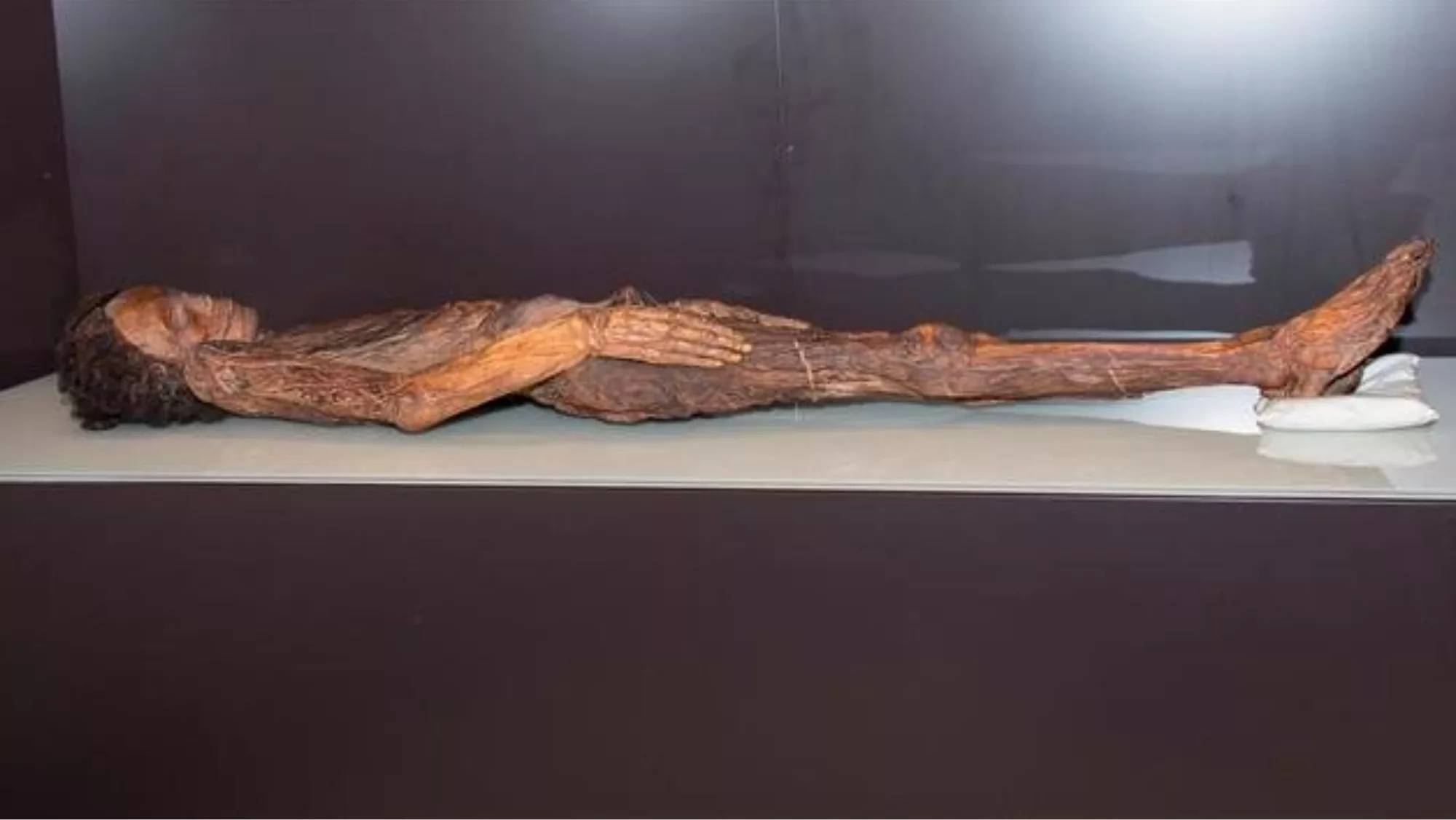 Momia guanche
