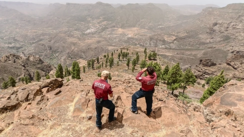 Agentes forestales de Gran Canaria