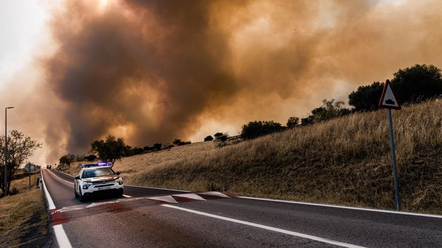 Incendio forestal en San Martín de Valdeiglesias (Madrid)