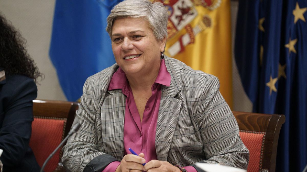 La Comisionada de Transparencia presenta en el Parlamento el plan estratégico 2025-2029