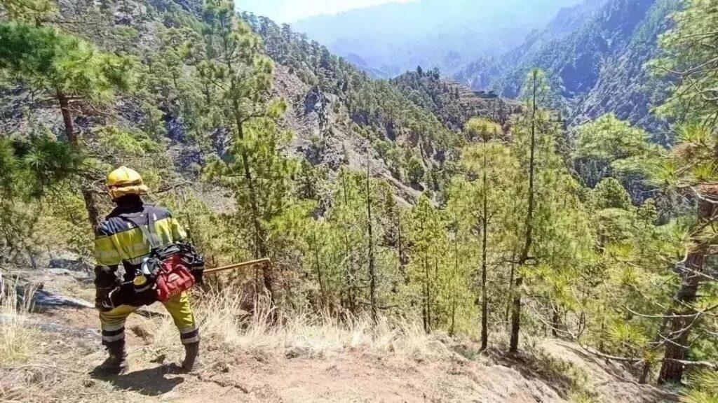 Riesgo extremo de incendios en los montes canarios