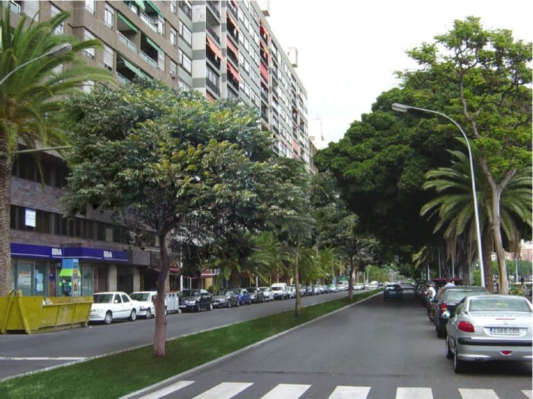 Avenida Anaga