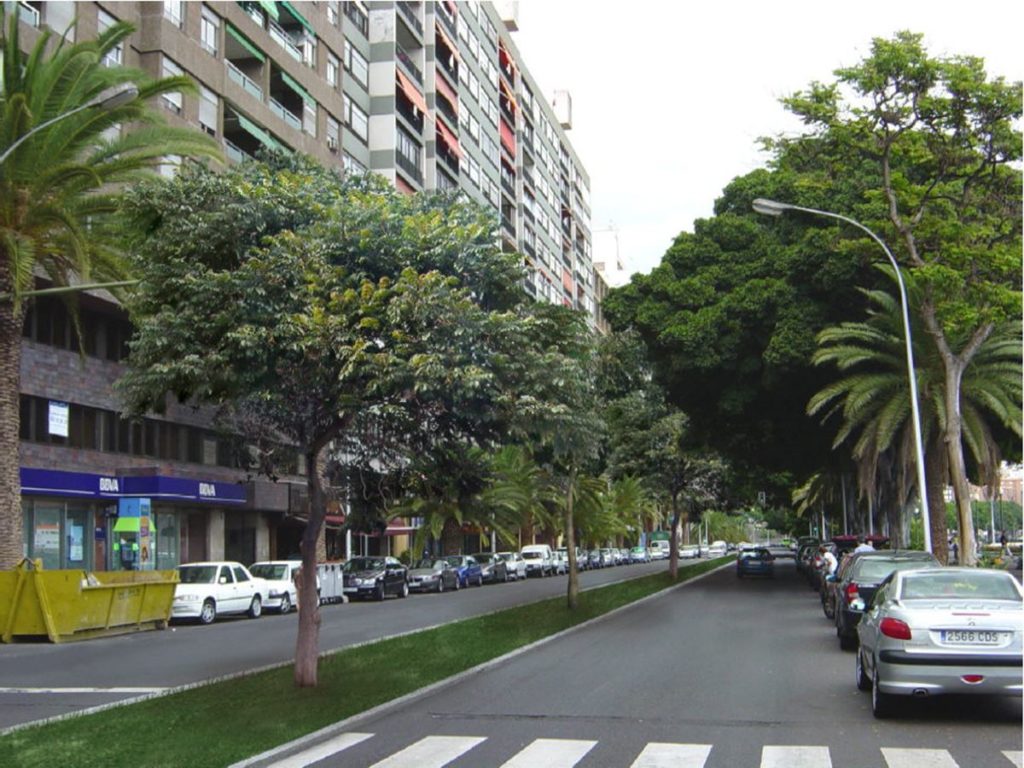 Avenida Anaga