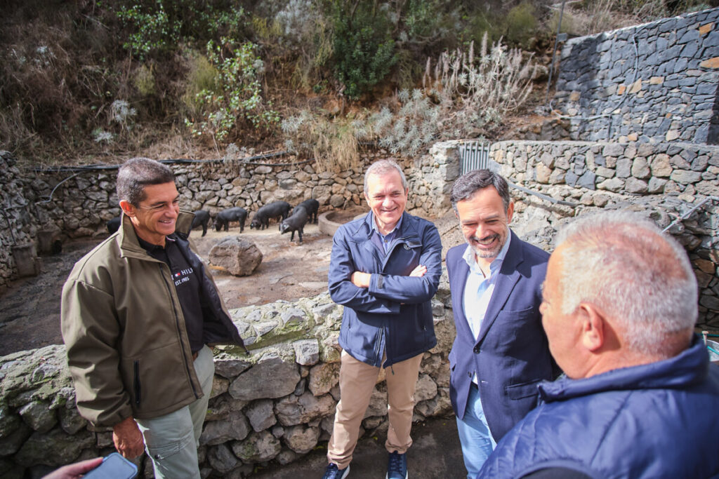 Presentacion-marca-cochino-negro-canario