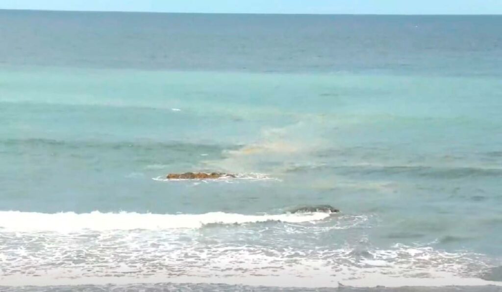 Mancha mar Taganana