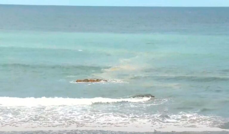 Mancha mar Taganana