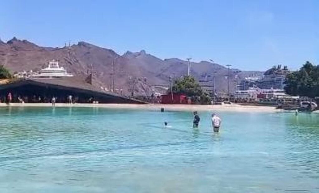 Plaza de España de Santa Cruz de Tenerife