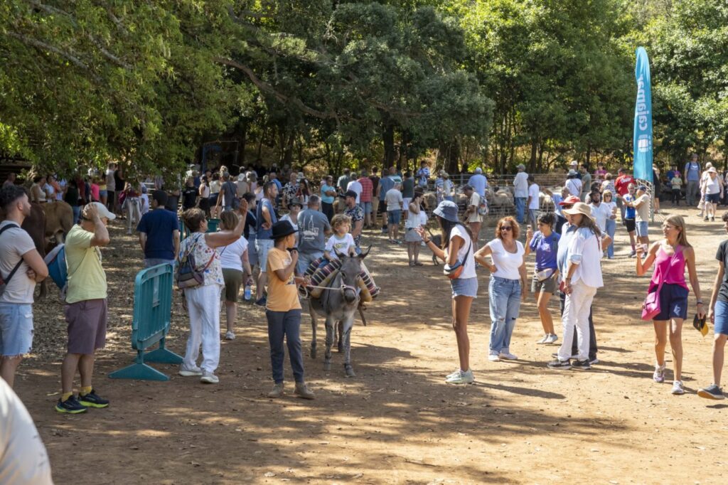 Feria de Ganado del Pino, en Teror