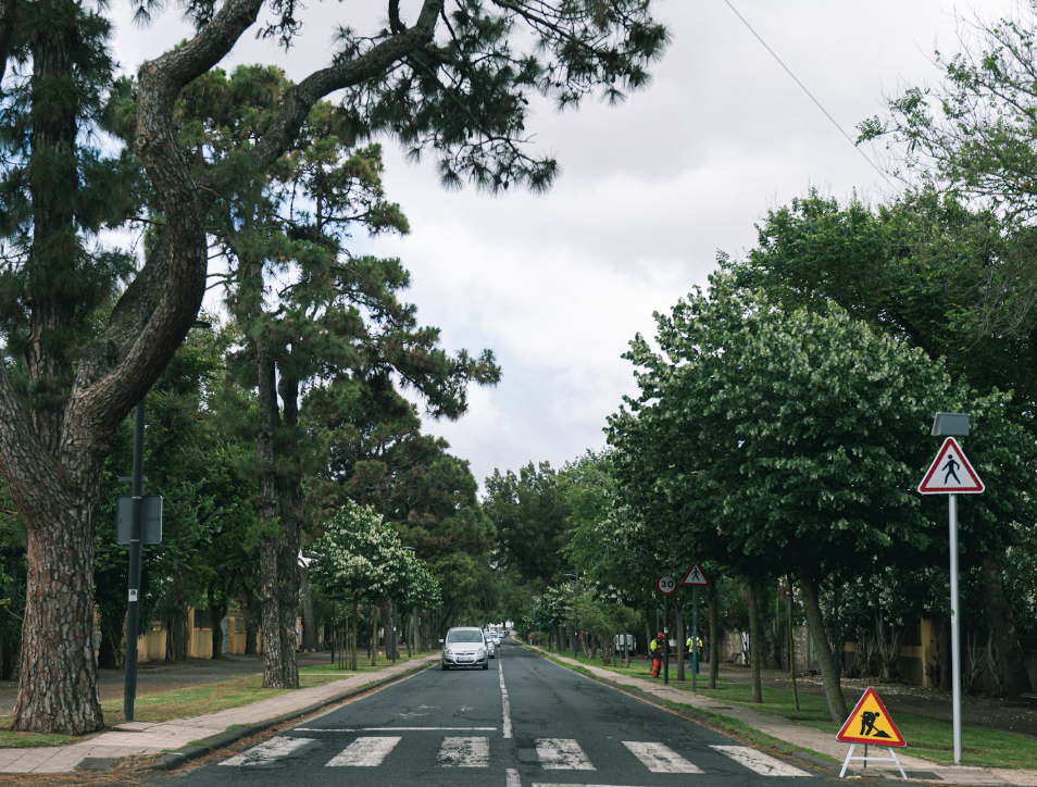 camino de las peras la laguna