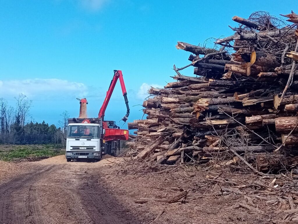 astilla forestal cabildo de tenerife
