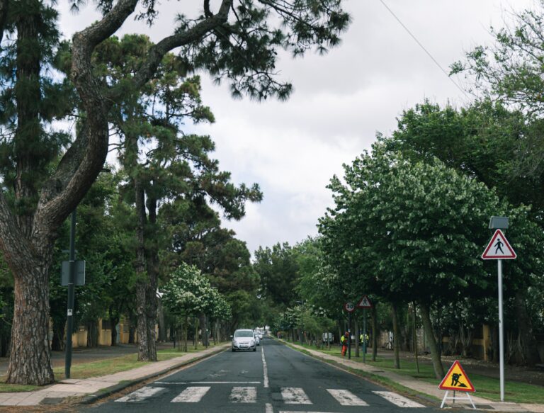 Camino de las peras en La Laguna