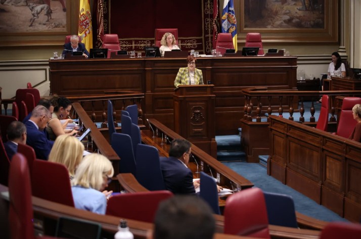candelaria delgado parlamento de canarias