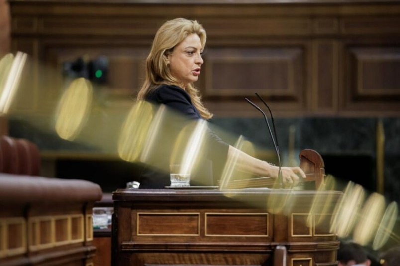 cristina valido congreso