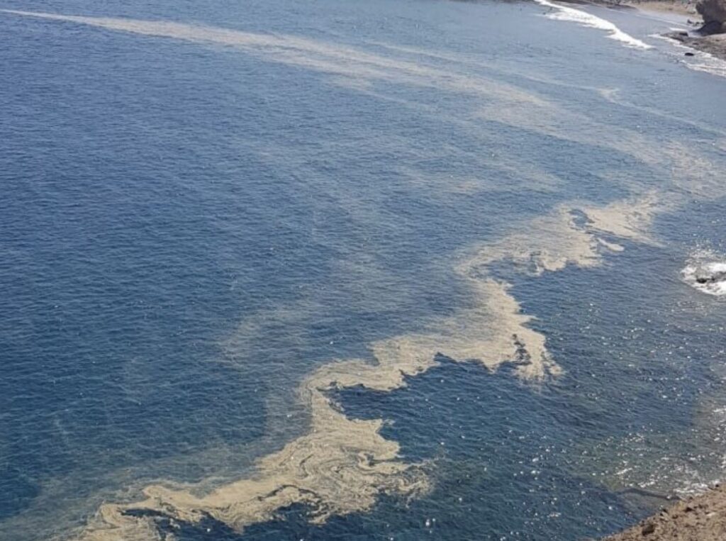 microalgas playa