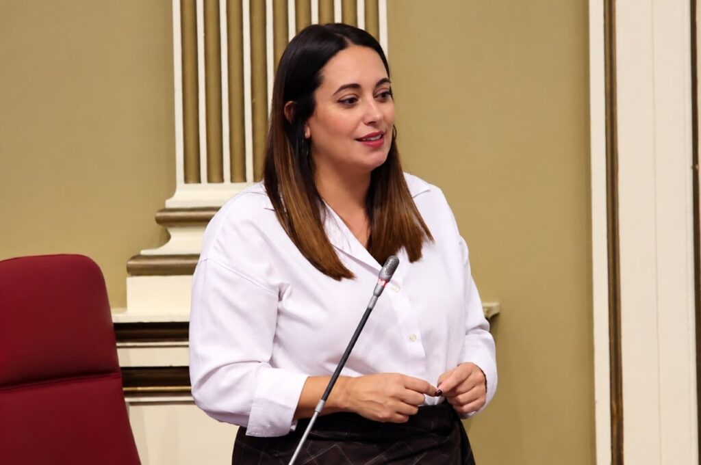 cristina calero garcia diputada coalicion canaria parcan