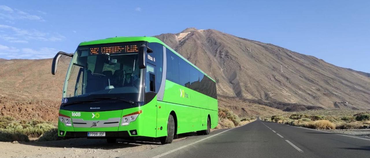 guagua teide