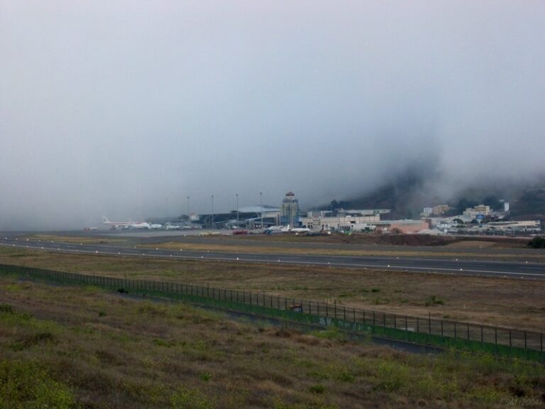 niebla los rodeos