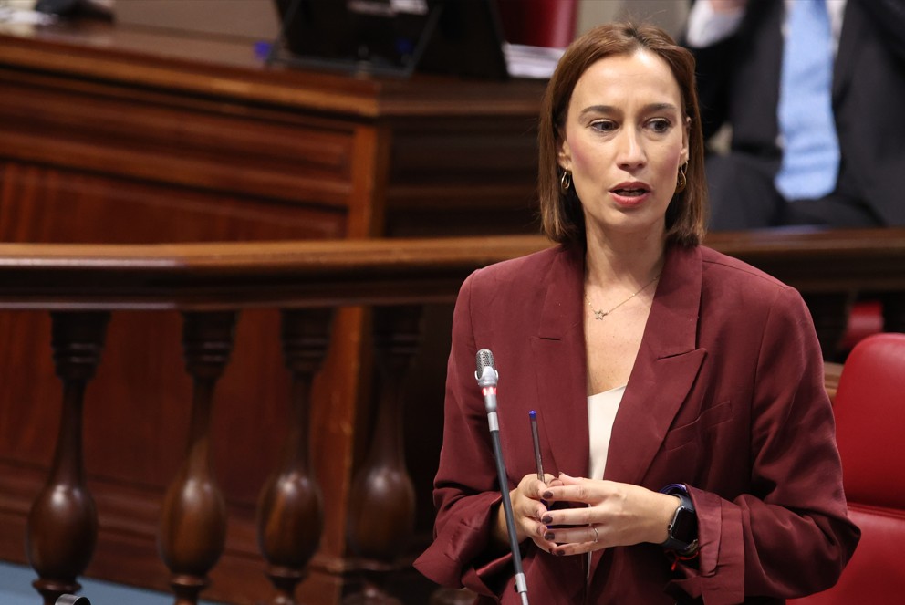 nira fierro parlamento de canarias comparece