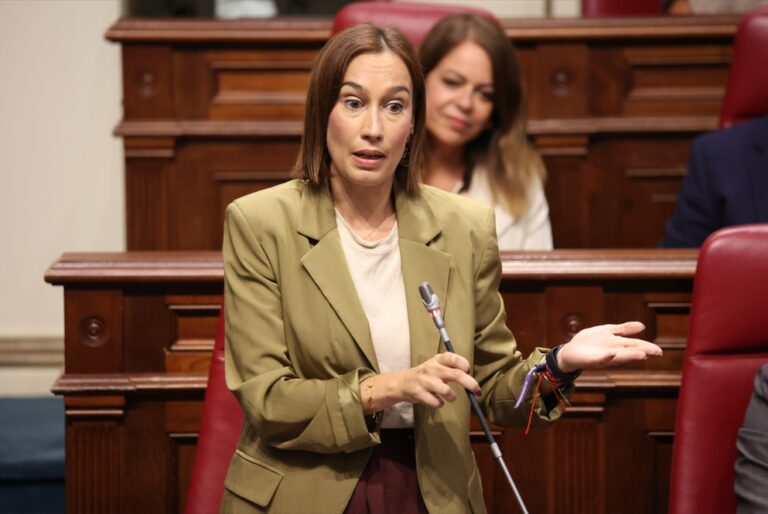 nira fierro parlamento de canarias psoe