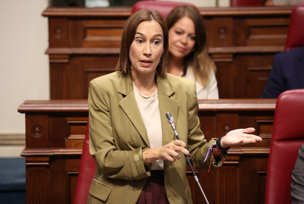 nira fierro parlamento de canarias psoe